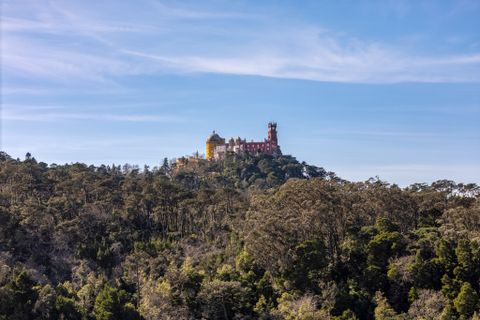 Landsbyhus i Sintra, Lisbon, Sintra - € 16.500.000 | Ref: W-02WJ84 - foto 32